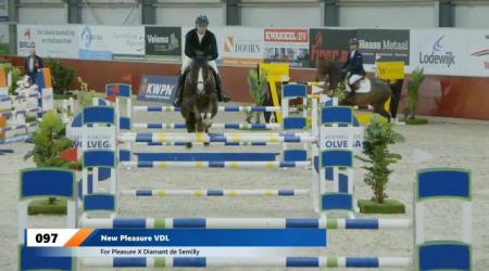 097	New Pleasure VDL