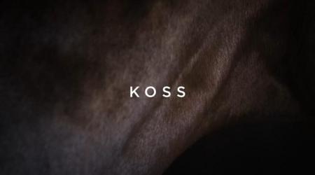 Legendary Lane: Koss