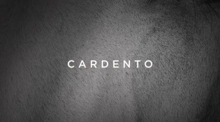 Legendary Lane: Cardento