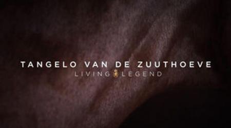 Living Legend - Tangelo van de Zuuthoeve