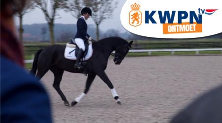 KWPN ontmoet - IBOP