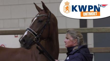 KWPN Ontmoet - Fokadviesdag