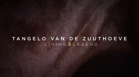 Living Legend - Tangelo van de Zuuthoeve