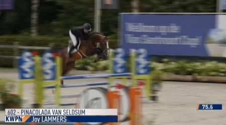 Pinacolada van Seldsum