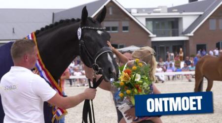 KWPN Ontmoet - NMK 2020