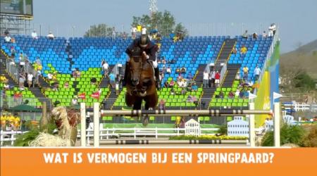 Het Vragenminuutje - Wat is vermogen bij een springpaard?