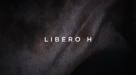 Legendary Lane: Libero H