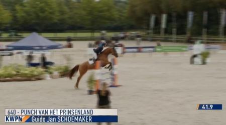 Punch van het Prinsenland