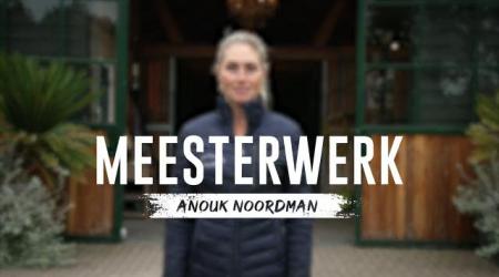 Meesterwerk - Anouk Noordman