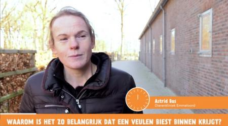 Het Vragenminuutje - Waarom is biest zo belangrijk?