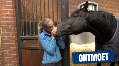 KWPN Ontmoet - Dinja van Liere