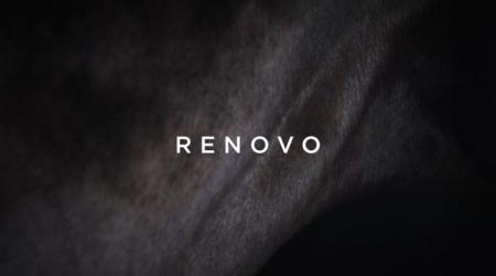 Legendary Lane: Renovo