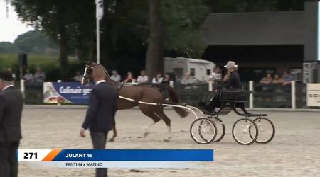 Future Cup - Young Riders
