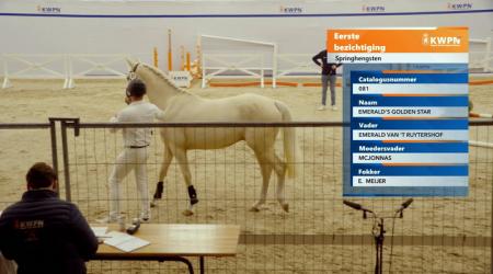 081. EMERALD'S GOLDEN STAR