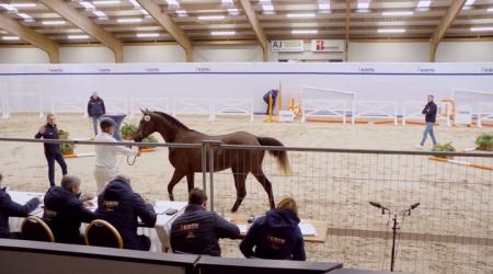 026. CHAC MINFRES VAN BEEK Z