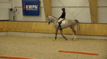 11. SIXTH SENSE HBC 13. SOLO