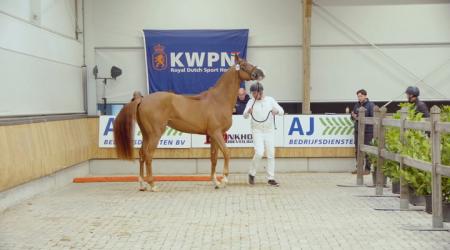 15 december - Straatje (groep 2)