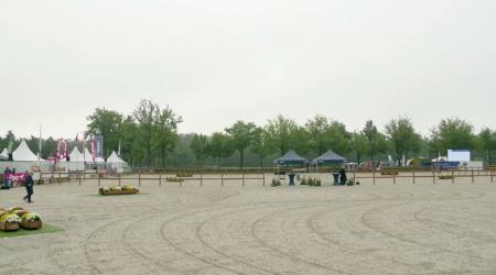  Nationale merrie- en veulenkeuring