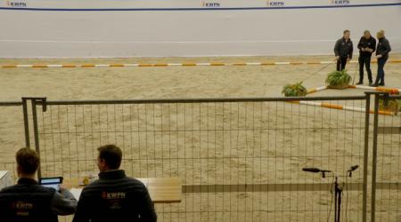 494. TAMIMT TAYRI TAGHBALT