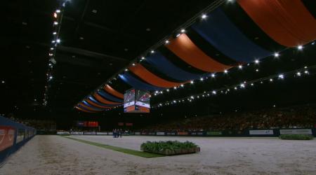 Presentatie aangewezen dressuurhengsten - groep 2