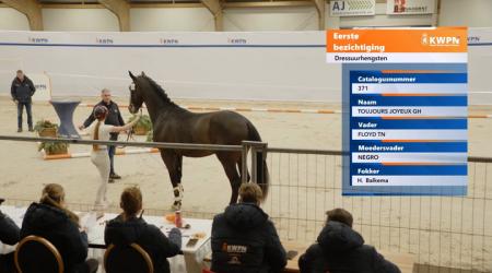 371. TOUJOURS JOYEUX GH