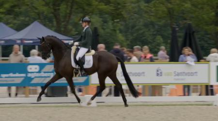 Dark Rousseau en 750. Noble Romance