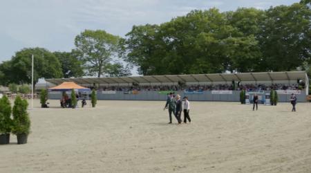 Manno Trofee - Goedgekeurde hengsten 