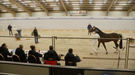 506. TOTAL PERFECTION