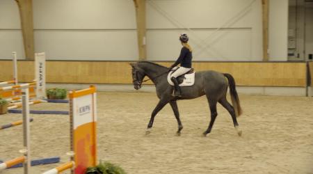 05. SECRET GARDEN  10. SUNRISE VDL