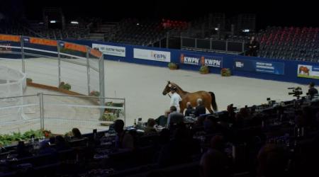 141	PHOENIX GOLD R.T. Z