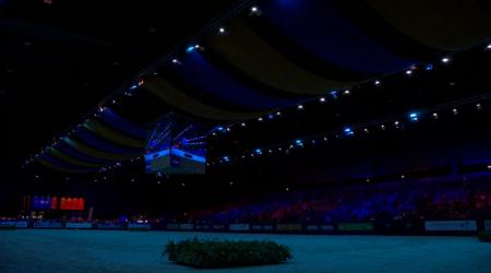 Huldiging Gelderse Hengst - Edmundo