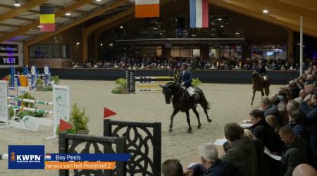 Daryus van het Poeleind Z