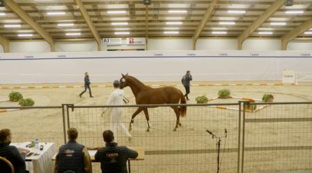 404. TOTAL ECLIPSE A.