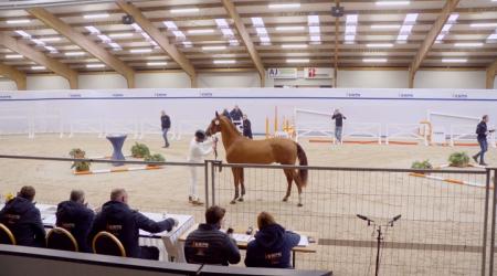 002. AVANTI VH VEN Z