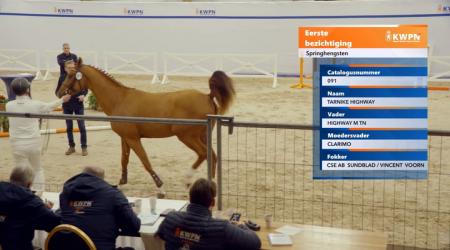 091. TARNIKE HIGHWAY