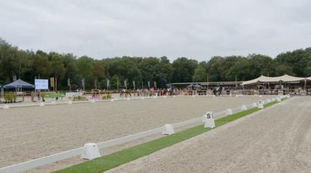 Perlita Frank VDL en 616. Profeta Pesante Jcs