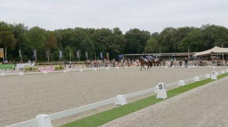 Parton Dolly en 734. Pretty Perfect