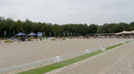 Picture Perfect de la Fazenda en 926. Perfect Seven