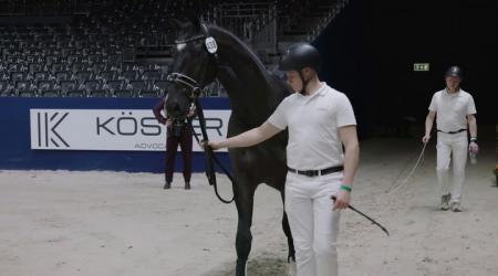 438. Tumbs Up Taonga