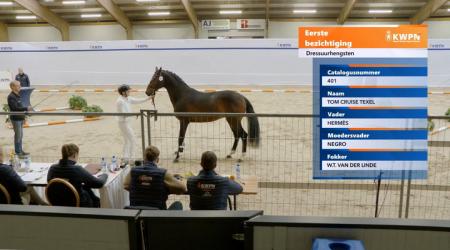 401. TOM CRUISE TEXEL