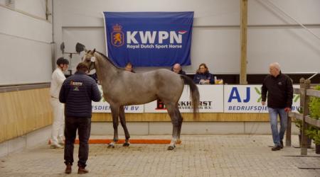 15 december - Straatje (groep 1)