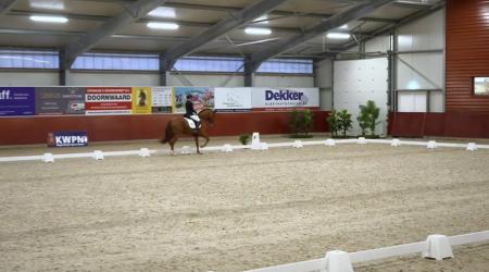 002. PJETHRO - 013. PITCH PERFECT