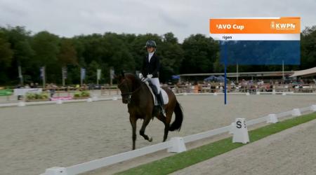 Paso Doble VZ en 876. Pharrel