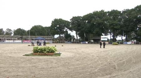 The Battle of the Preferent Sires 