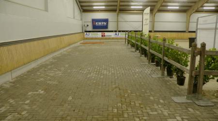 Dressuurhengsten Eerste bezichtiging - 13 december