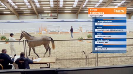 153. THUNDER K VAN DE RABINAHOEVE