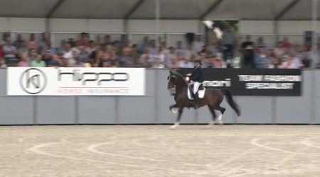 The Battle of the Preferent Sires - PATIJN 