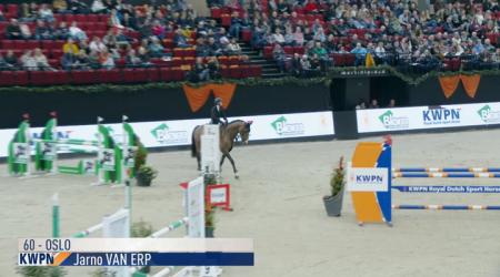 071. TATTOO H & DB - TN (Barrage)