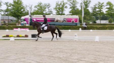 Halve finale Pavo Cup - 4-jarige Dressuurpaarden Groep 2