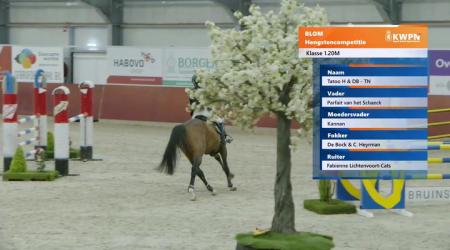 071	Tatoo H & DB - TN (barrage)